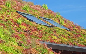 Sandford Hill living roof systems